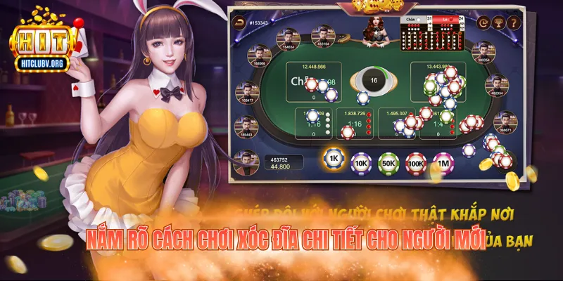 Cách Chơi Xóc Đĩa - Hướng Dẫn Chi Tiết Cho Người Mới Nắm rõ cách chơi xóc đĩa chi tiết cho người mới